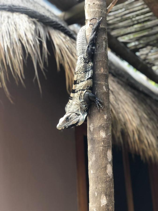 Casa Nalum Villa Tulum Bagian luar foto